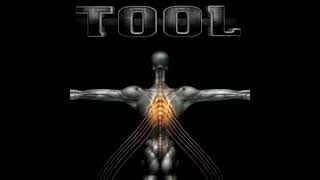 TOOL  Salival Full Boxset Remastered  Live Concert Videos [upl. by Burnham]