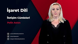 İşaret Dili  İletişim Cümleleri [upl. by Alekal]