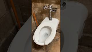 Testing a Sloan toilet [upl. by Nehemiah911]