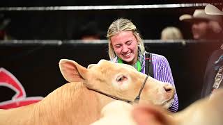 San Antonio Livestock Show 2024 Market Steer Grand Drive Highlight [upl. by Fontana]