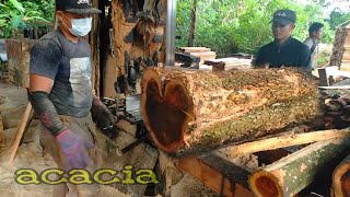 Sawing Acacia Mangium Acacia Wood [upl. by Leeke]