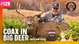 128 COAX IN BIG DEER with Tom Lester  Deer Talk Now Podcast [upl. by Michaud]