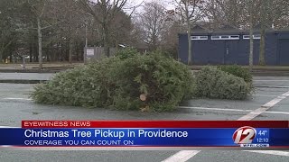 Providence Offers Curbside Christmas Tree Pickup [upl. by Drofla]