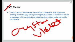 Gram staining  Gram staining principle and procedure [upl. by Aekahs]