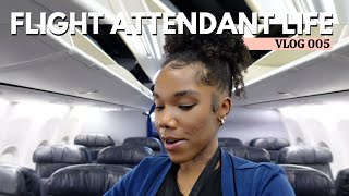 Flight Attendant Vlog 005  Crew scheduling changed my trip [upl. by Gagne]