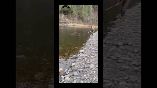 Idaho steelhead fishing bobber downfish fishing shorts shortvideo [upl. by Pirbhai]