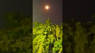 Full moon day 🌝diwali festival shortvideo ytshorts [upl. by Shayla]