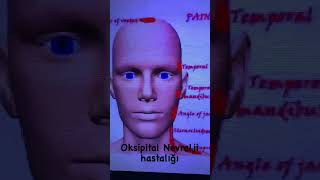 Oksipital nevralji hastalığı [upl. by Ahgiela]