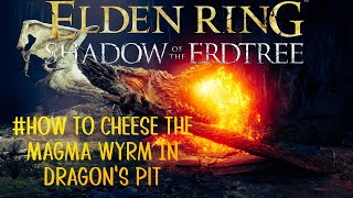 Dragons Pit Magma Wyrm Mini Boss Cheese [upl. by Hillery]