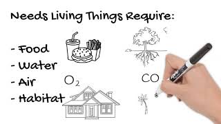 Biotic and Abiotic Parts of an Ecosystem Short Simple Science [upl. by Neivad]