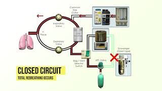 Anesthesia Machine Fundamentals [upl. by Josefina246]