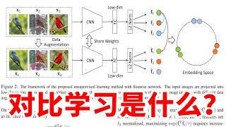 对比学习是什么？这篇文章讲的很清楚了！ [upl. by Yggep]