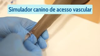 Simulador canino de acesso vascular [upl. by Aenad]