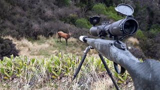 Solo 9 Day Deer Hunting in Search for the GIANT Success [upl. by Kathy786]