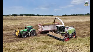 Chopping Triticale in Southwest Missouri [upl. by Annayar]