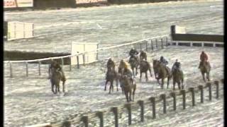 1987 Tote Cheltenham Gold Cup Chase [upl. by Thema118]