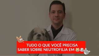 Leucocitose por neutrofilia em cães e gatos [upl. by Wakeen]