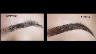 How to Get Thick Eyebrows Naturally Fast  Dark Eyebrows  Thick Eyebrows [upl. by Teerpnam]