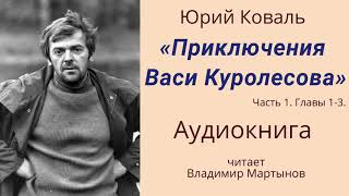 Владимир Мартынов Юрий Коваль Приключения Васи Куролесова АУДИОКНИГА Часть 1 главы 13 [upl. by Kcirdot]