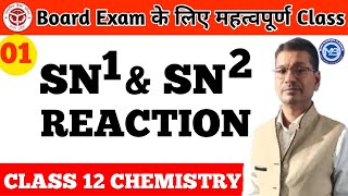 Haloalkanes and Haloarenes ।। SN1 and SN2 Reaction ।। Class 12 ।। Rajesh Sir [upl. by Eetnahc655]