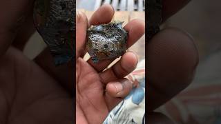 Rarest Meteorite on Earth [upl. by Aner]