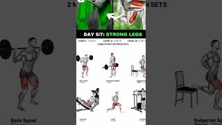 Strong leg workout motivation shots legworkoutathomenoequipment [upl. by Yraunaj]