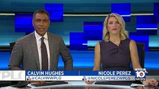 Local 10 News Brief 11152023 Night Edition [upl. by Schwing761]