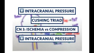 Intracranial Hypertension  Postural headache  Types of CN 3 lesions  Cushing Triad  USMLE  MCQs [upl. by Marsh]