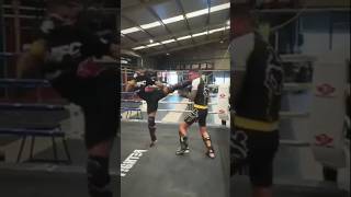 🥊🥊🥊upper cut punch and roundhouse kick knockoutboxingteakwandocombatsportmmaufckickboxing🥊 [upl. by Wrand]