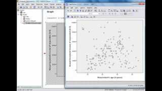 D5 Scatter Tutorial  How to use this procedural landscape scatter tool [upl. by Haldes]