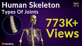 Human Skeleton and Types of Joints  Biology Video  Iken Edu [upl. by Legnalos]