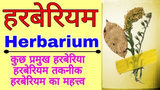 हरबेरीयम  All about Herbarium  How to make a simple Herbarium File  Role of herbarium in botany [upl. by Ishmael296]