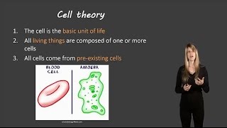 Cell theory [upl. by Freud848]