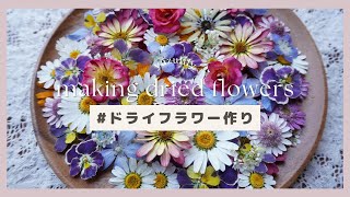 🌼綺麗なドライフラワーの作り方Making beautiful dried flowers [upl. by Cid]