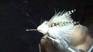 Tying the Tasty Toad Bonefish fly [upl. by Euqitsym]