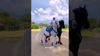 Hippotherapy Иппотерапия hippotherapy horseriding horsevideo horseride sporthorses [upl. by Coumas]