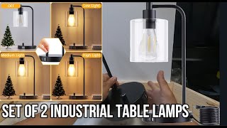 Set of 2 Industrial Table Lamps [upl. by Reddy]