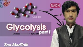 Glycolysis Part 1  Carbohydrates metabolism  Biochemistry by Zaa MedTalk [upl. by Hollenbeck843]