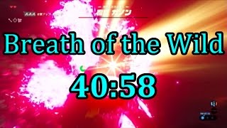 【RTA】ゼルダの伝説 ブレスオブザワイルド 4058でクリア【字幕解説】 [upl. by Arekat]