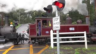 Puffing Billy Steam train Melbourne Aug 19 2023 [upl. by Deadman]