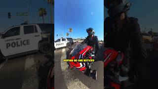 Arizona Cop Didn’t Mean to Do This  Hilarious Reaction Caught on Camera 😂 shorts [upl. by Lobiv]