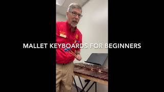 Mallet Keyboards for Beginners [upl. by Edora]