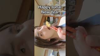 Happy Lunar New Year Seollal설날 in Korea I celebrate the new year by eating Dongtaejeon [upl. by Ingraham86]