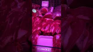 LETS GO AFRICAN GROCERY SHOPPING africanfoodstuff marketvlogs [upl. by Inhsor]