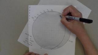 Stereonet plotting the rake of a line [upl. by Tannie334]