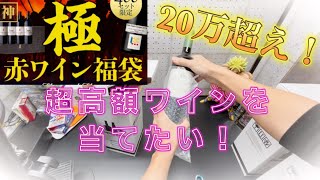 【ワイン福袋】超高額ワインが当たる福袋買ってみた 結果は！？ [upl. by Margeaux]