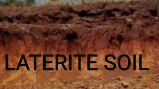 Laterite Soil  found States Crops grown Geography Class 10Agriculture UPSCBRITTLEMEDIA [upl. by Edith]