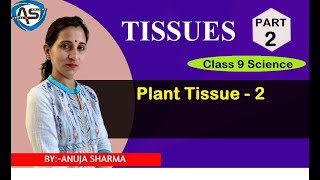 TISSUES  PLANT TISSUE2 [upl. by Shiller]