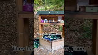 Drinks station at Forest 😱 germanvillagelifeshortscultureshockyoutubeshortskannadavlogs [upl. by Alisan]