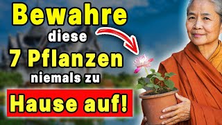 🛑 7 Pflanzen die dir das GLÜCK rauben und dich in die ARMUT treiben Buddhismus und seine Weisheit [upl. by Lramaj926]